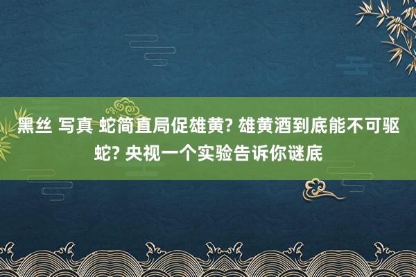 黑丝 写真 蛇简直局促雄黄? 雄黄酒到底能不可驱蛇? 央视一个实验告诉你谜底