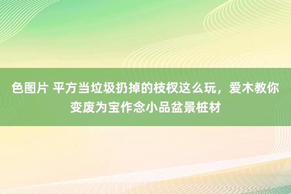 色图片 平方当垃圾扔掉的枝杈这么玩，爱木教你变废为宝作念小品盆景桩材