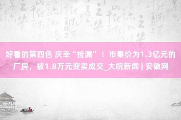 好看的第四色 庆幸“捡漏” ！市集价为1.3亿元的厂房，被1.8万元变卖成交_大皖新闻 | 安徽网