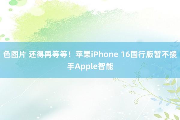 色图片 还得再等等！苹果iPhone 16国行版暂不援手Apple智能