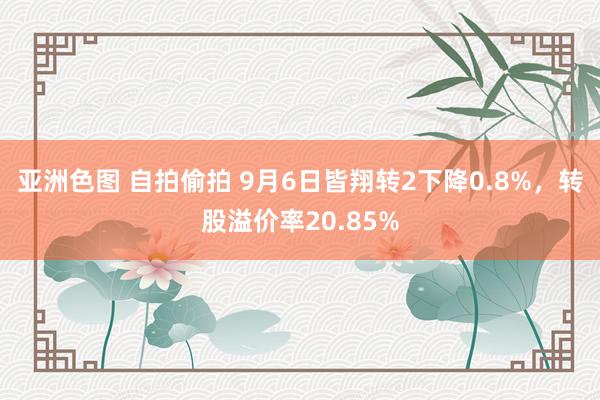 亚洲色图 自拍偷拍 9月6日皆翔转2下降0.8%，转股溢价率20.85%