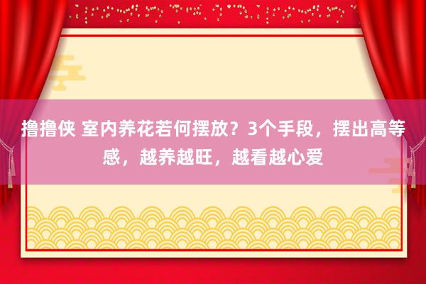 撸撸侠 室内养花若何摆放？3个手段，摆出高等感，越养越旺，越看越心爱