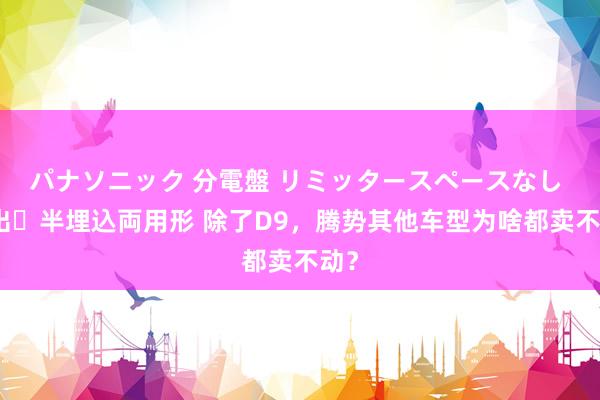 パナソニック 分電盤 リミッタースペースなし 露出・半埋込両用形 除了D9，腾势其他车型为啥都卖不动？