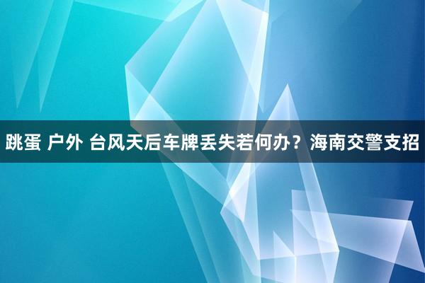 跳蛋 户外 台风天后车牌丢失若何办？海南交警支招