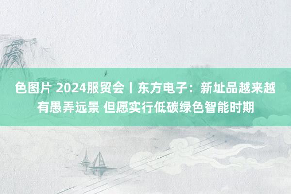 色图片 2024服贸会丨东方电子：新址品越来越有愚弄远景 但愿实行低碳绿色智能时期