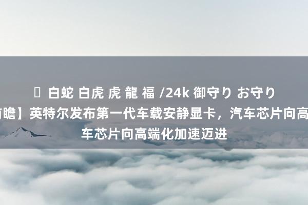 ✨白蛇 白虎 虎 龍 福 /24k 御守り お守り 【当天主题前瞻】英特尔发布第一代车载安静显卡，汽车芯片向高端化加速迈进