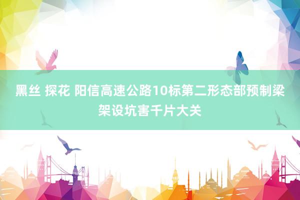 黑丝 探花 阳信高速公路10标第二形态部预制梁架设坑害千片大关