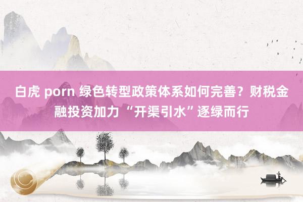 白虎 porn 绿色转型政策体系如何完善？财税金融投资加力 “开渠引水”逐绿而行