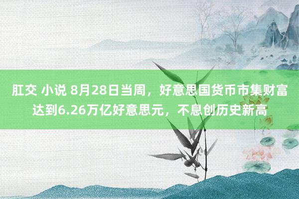 肛交 小说 8月28日当周，好意思国货币市集财富达到6.26万亿好意思元，不息创历史新高