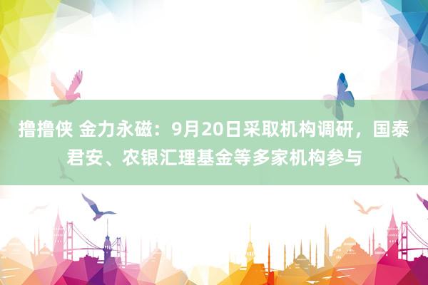 撸撸侠 金力永磁：9月20日采取机构调研，国泰君安、农银汇理基金等多家机构参与