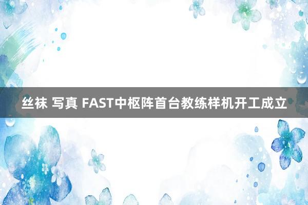 丝袜 写真 FAST中枢阵首台教练样机开工成立