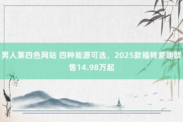 男人第四色网站 四种能源可选，2025款福特蒙迪欧售14.98万起