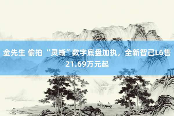 金先生 偷拍 “灵蜥”数字底盘加执，全新智己L6售21.69万元起