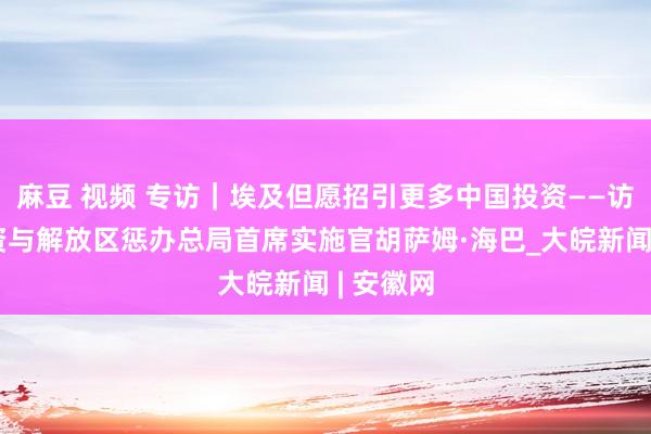 麻豆 视频 专访｜埃及但愿招引更多中国投资——访埃及投资与解放区惩办总局首席实施官胡萨姆·海巴_大皖新闻 | 安徽网