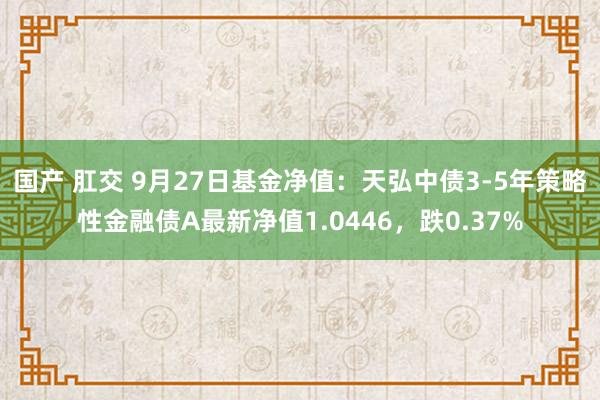 国产 肛交 9月27日基金净值：天弘中债3-5年策略性金融债A最新净值1.0446，跌0.37%