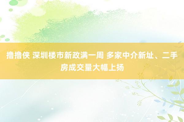 撸撸侠 深圳楼市新政满一周 多家中介新址、二手房成交量大幅上扬