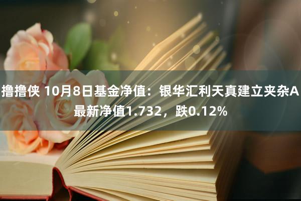 撸撸侠 10月8日基金净值：银华汇利天真建立夹杂A最新净值1.732，跌0.12%