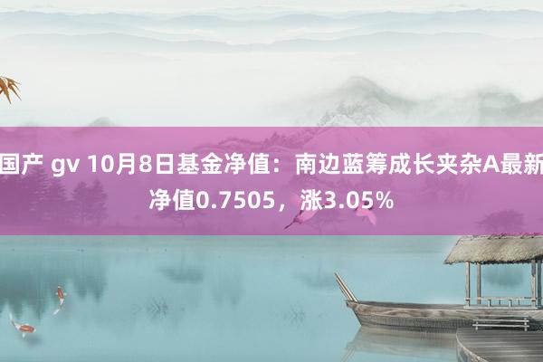 国产 gv 10月8日基金净值：南边蓝筹成长夹杂A最新净值0.7505，涨3.05%