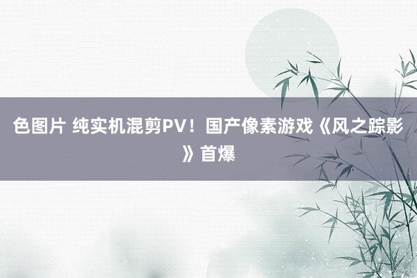 色图片 纯实机混剪PV！国产像素游戏《风之踪影》首爆