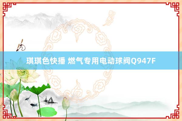 琪琪色快播 燃气专用电动球阀Q947F