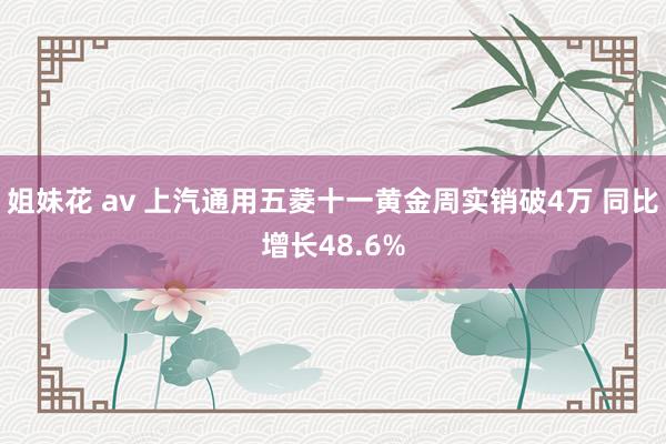 姐妹花 av 上汽通用五菱十一黄金周实销破4万 同比增长48.6%