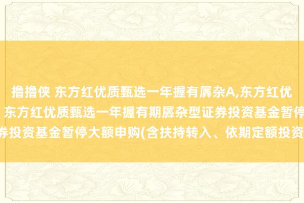 撸撸侠 东方红优质甄选一年握有羼杂A，东方红优质甄选一年握有羼杂C: 东方红优质甄选一年握有期羼杂型证券投资基金暂停大额申购(含扶持转入、依期定额投资)业务的公告