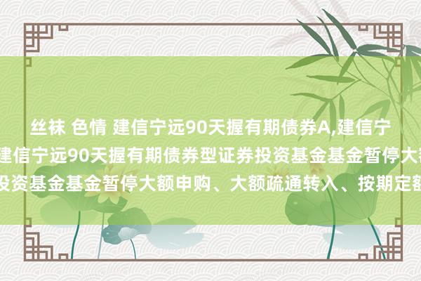 丝袜 色情 建信宁远90天握有期债券A,建信宁远90天握有期债券C: 建信宁远90天握有期债券型证券投资基金基金暂停大额申购、大额疏通转入、按期定额投资公告