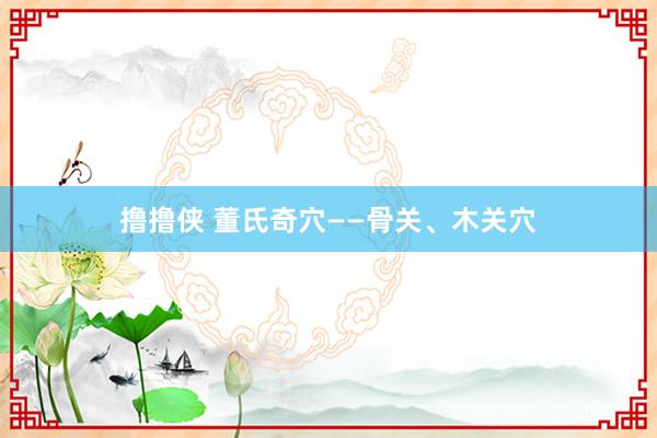 撸撸侠 董氏奇穴——骨关、木关穴