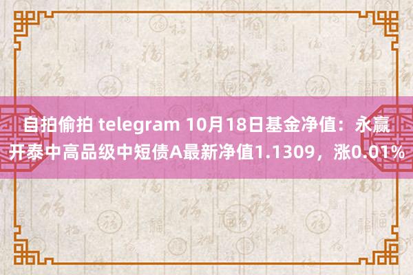 自拍偷拍 telegram 10月18日基金净值：永赢开泰中高品级中短债A最新净值1.1309，涨0.01%