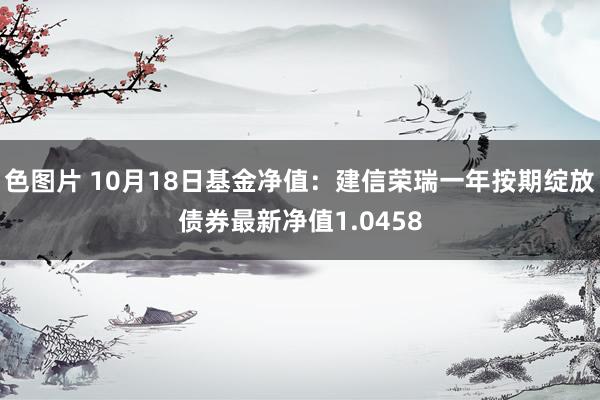 色图片 10月18日基金净值：建信荣瑞一年按期绽放债券最新净值1.0458