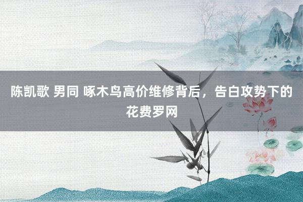 陈凯歌 男同 啄木鸟高价维修背后，告白攻势下的花费罗网