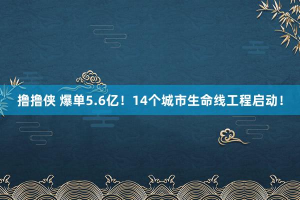 撸撸侠 爆单5.6亿！14个城市生命线工程启动！