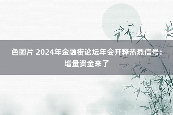 色图片 2024年金融街论坛年会开释热烈信号：增量资金来了