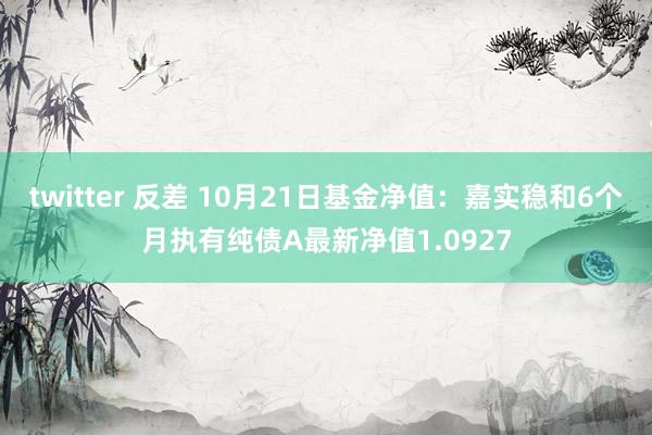 twitter 反差 10月21日基金净值：嘉实稳和6个月执有纯债A最新净值1.0927