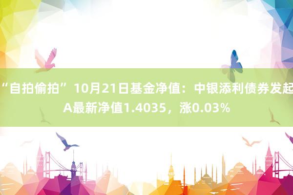 “自拍偷拍” 10月21日基金净值：中银添利债券发起A最新净值1.4035，涨0.03%