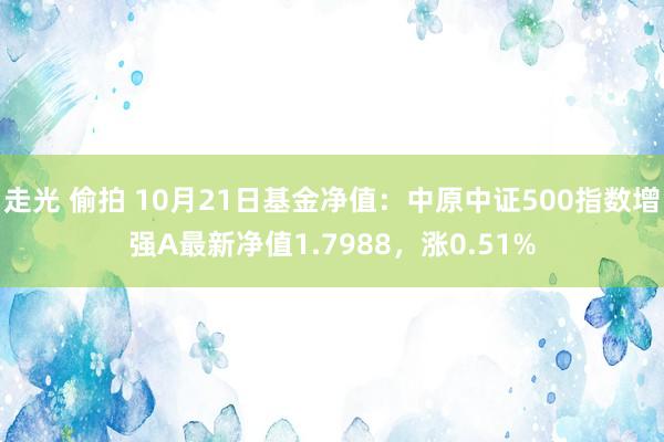 走光 偷拍 10月21日基金净值：中原中证500指数增强A最新净值1.7988，涨0.51%