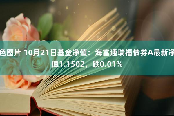 色图片 10月21日基金净值：海富通瑞福债券A最新净值1.1502，跌0.01%