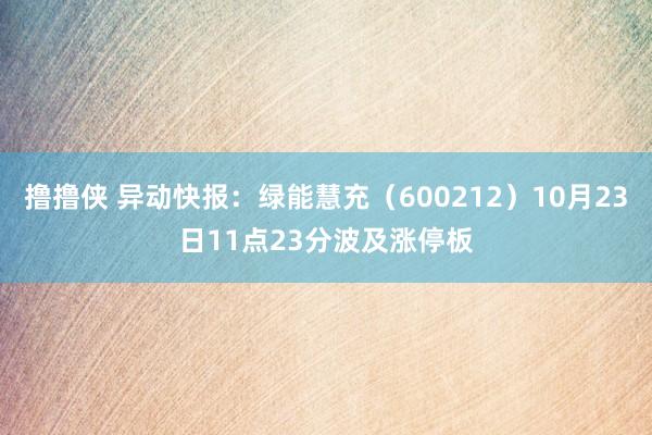 撸撸侠 异动快报：绿能慧充（600212）10月23日11点23分波及涨停板