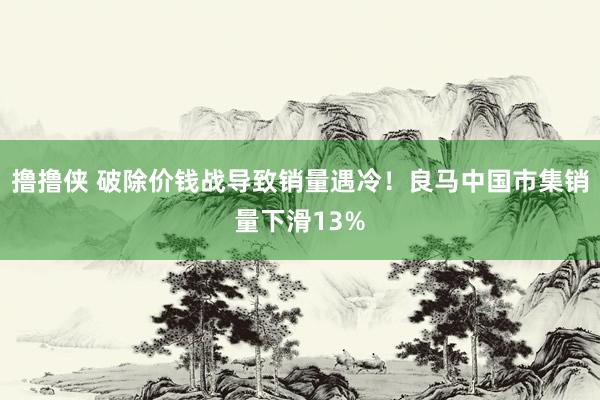 撸撸侠 破除价钱战导致销量遇冷！良马中国市集销量下滑13%