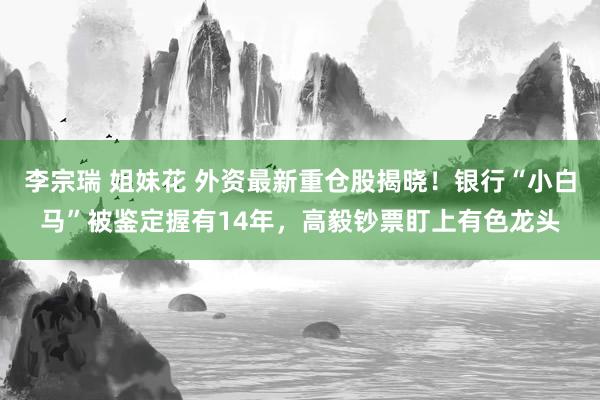 李宗瑞 姐妹花 外资最新重仓股揭晓！银行“小白马”被鉴定握有14年，高毅钞票盯上有色龙头