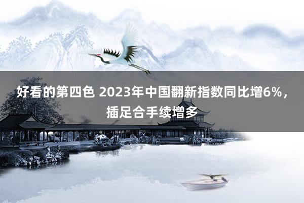 好看的第四色 2023年中国翻新指数同比增6%，插足合手续增多