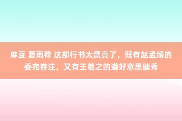 麻豆 夏雨荷 这部行书太漂亮了，既有赵孟頫的委宛眷注，又有王羲之的遒好意思健秀