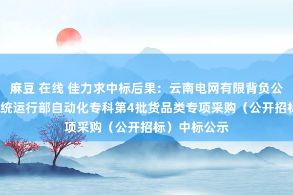 麻豆 在线 佳力求中标后果：云南电网有限背负公司2024年系统运行部自动化专科第4批货品类专项采购（公开招标）中标公示