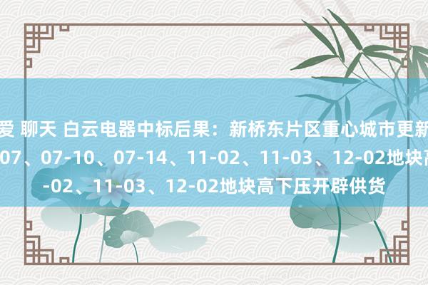 文爱 聊天 白云电器中标后果：新桥东片区重心城市更新技俩07-06、07-07、07-10、07-14、11-02、11-03、12-02地块高下压开辟供货