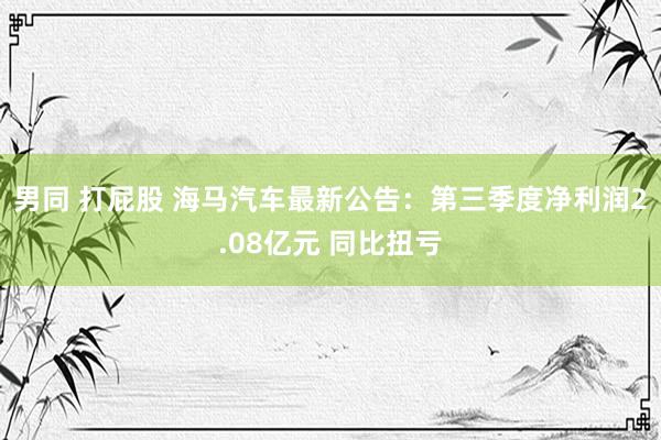 男同 打屁股 海马汽车最新公告：第三季度净利润2.08亿元 同比扭亏