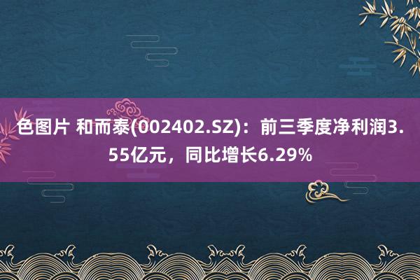 色图片 和而泰(002402.SZ)：前三季度净利润3.55亿元，同比增长6.29%