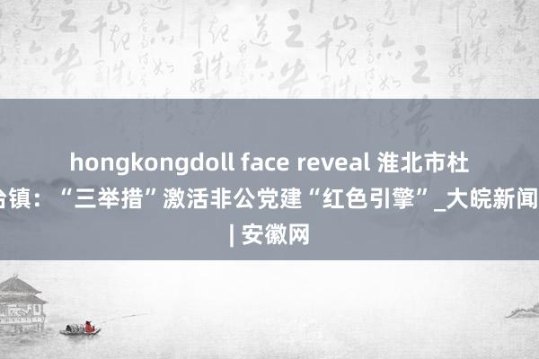 hongkongdoll face reveal 淮北市杜集区石台镇：“三举措”激活非公党建“红色引擎”_大皖新闻 | 安徽网