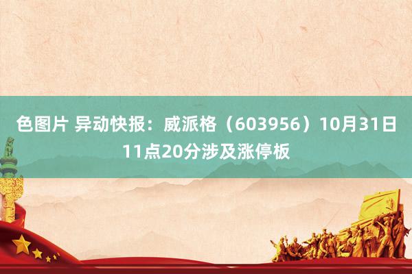 色图片 异动快报：威派格（603956）10月31日11点20分涉及涨停板