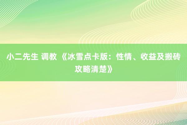 小二先生 调教 《冰雪点卡版：性情、收益及搬砖攻略清楚》