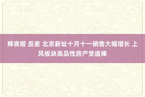 辉夜姬 反差 北京新址十月十一销售大幅增长 上风板块高品性房产受追捧